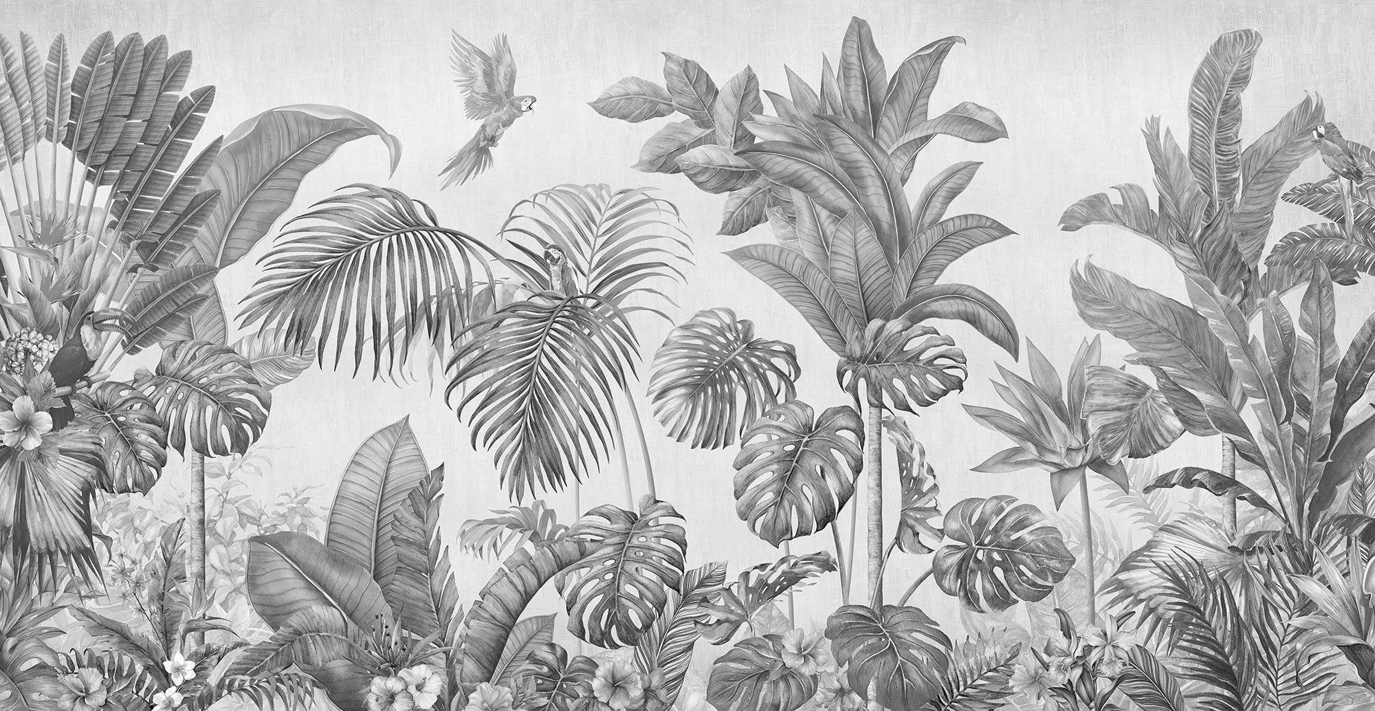 Black &amp; White Tropical Jungle Wall Mural