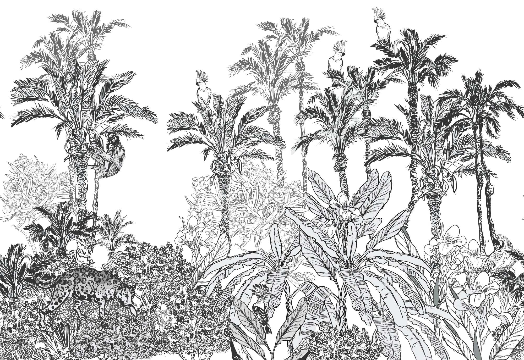 Black and White Jungle Panoramic Wallpaper - Illustrated Exotic Landscape