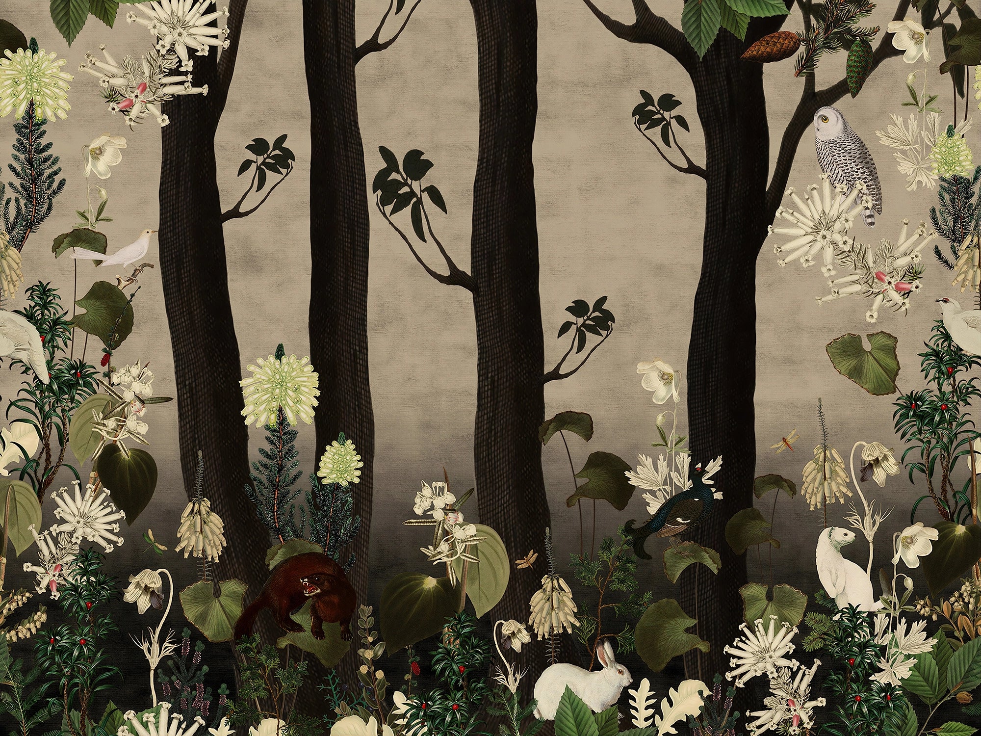 Animals in the dark forest wallpaper