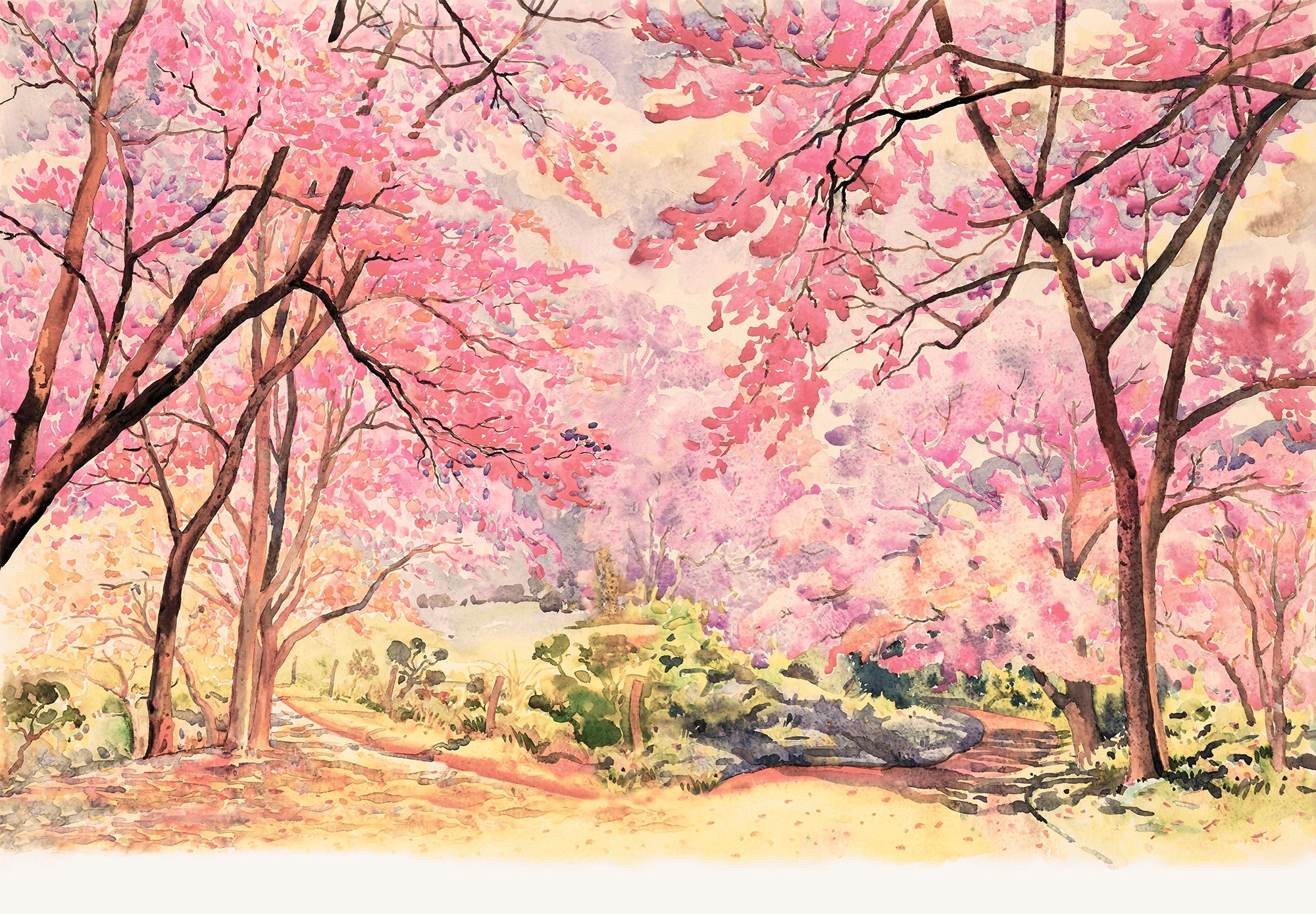 Cherry Blossom Watercolor Wallpaper