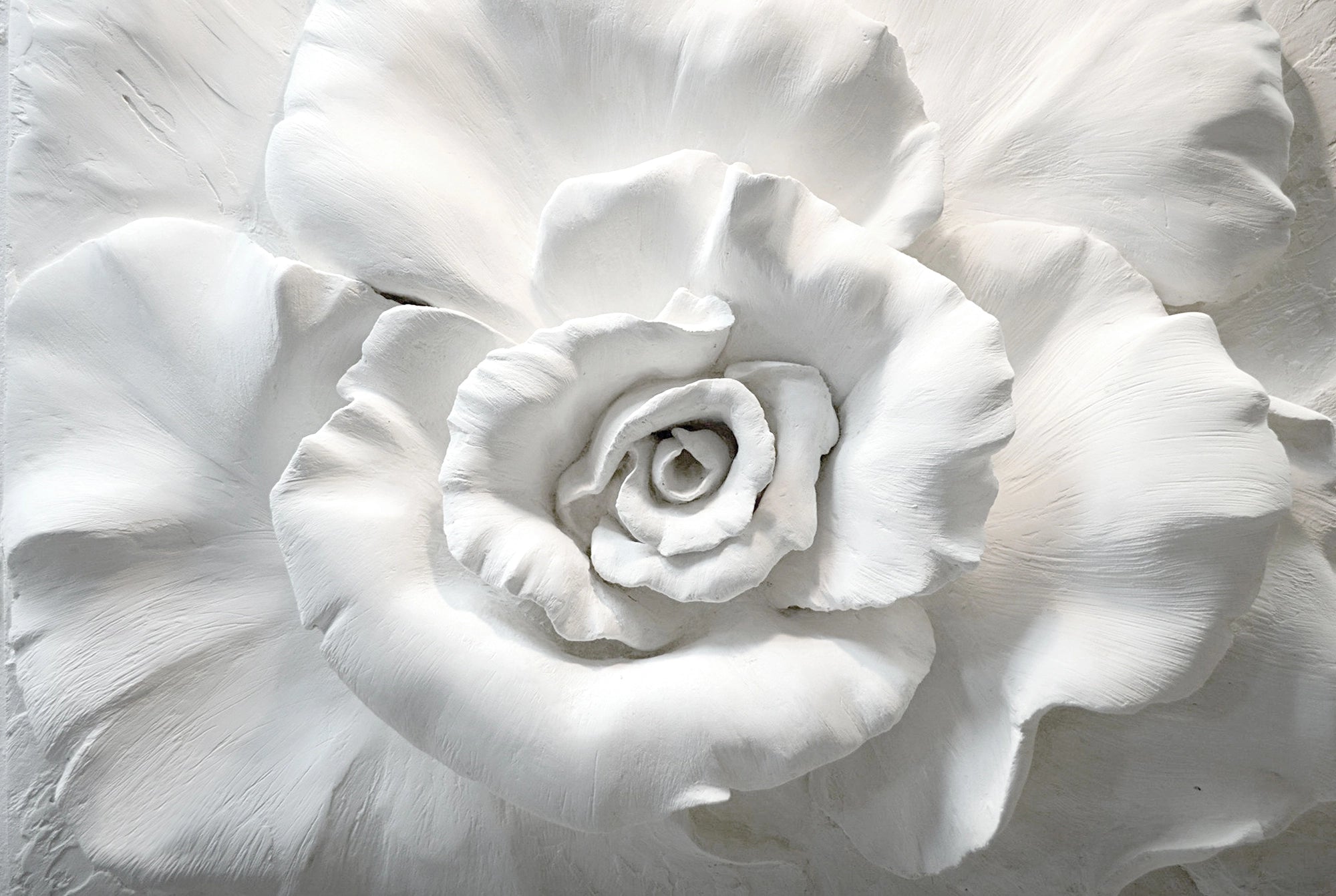 Papier peint Fleur Blanche effet 3D