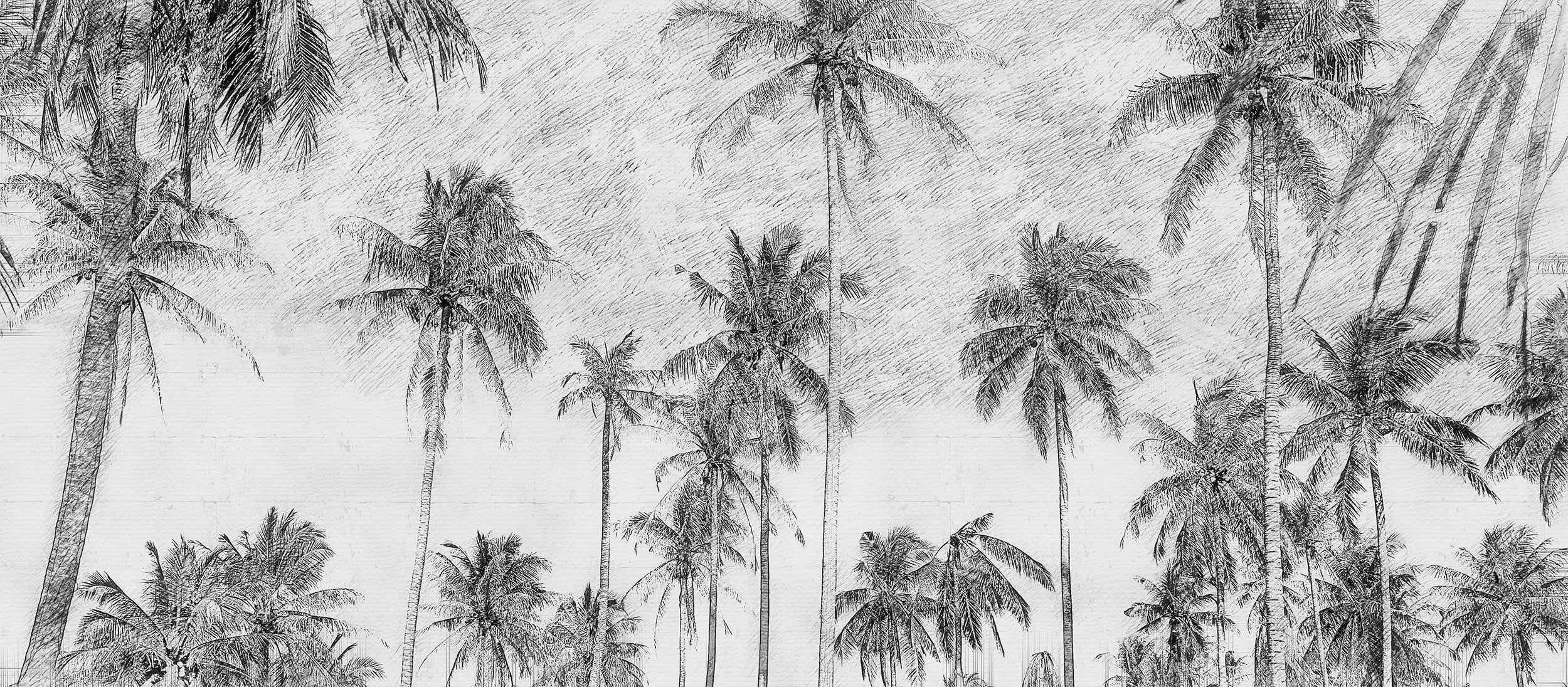 Black and White Palm Tree Wallpaper