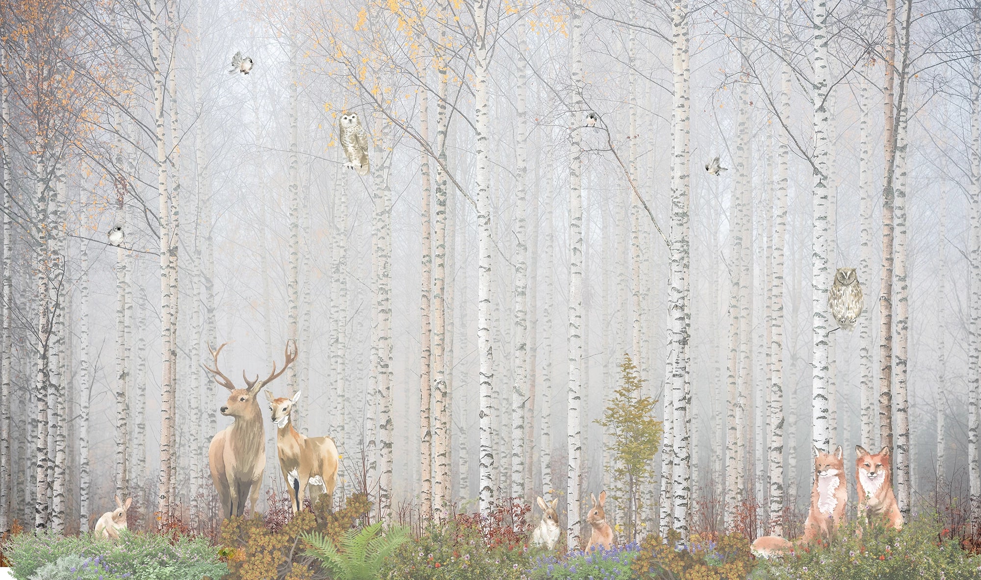 Papier peint cerf dans la Forêt de bouleau