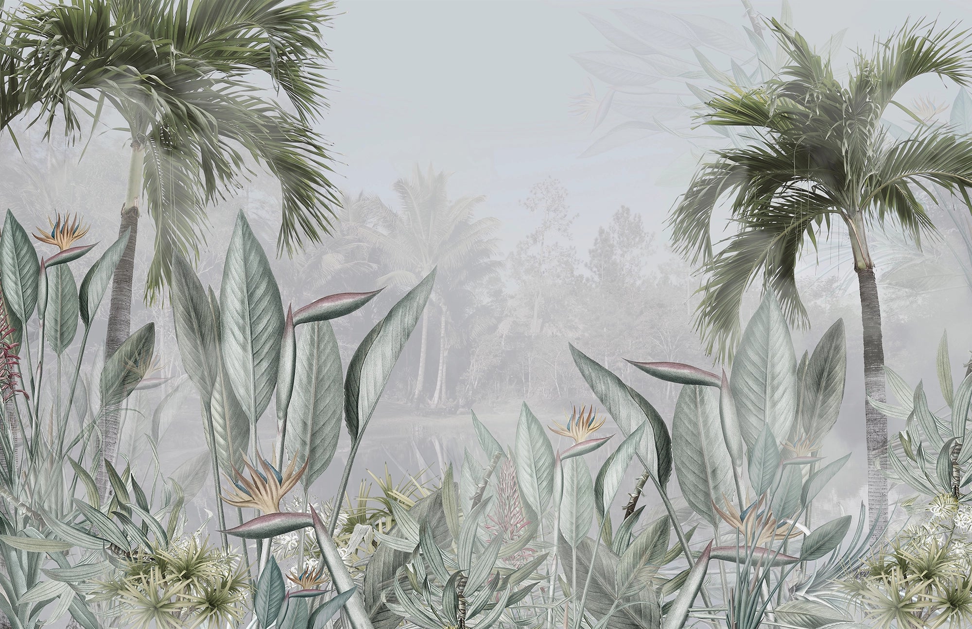 Tropical Jungle Strelitzia Panoramic Wallpaper