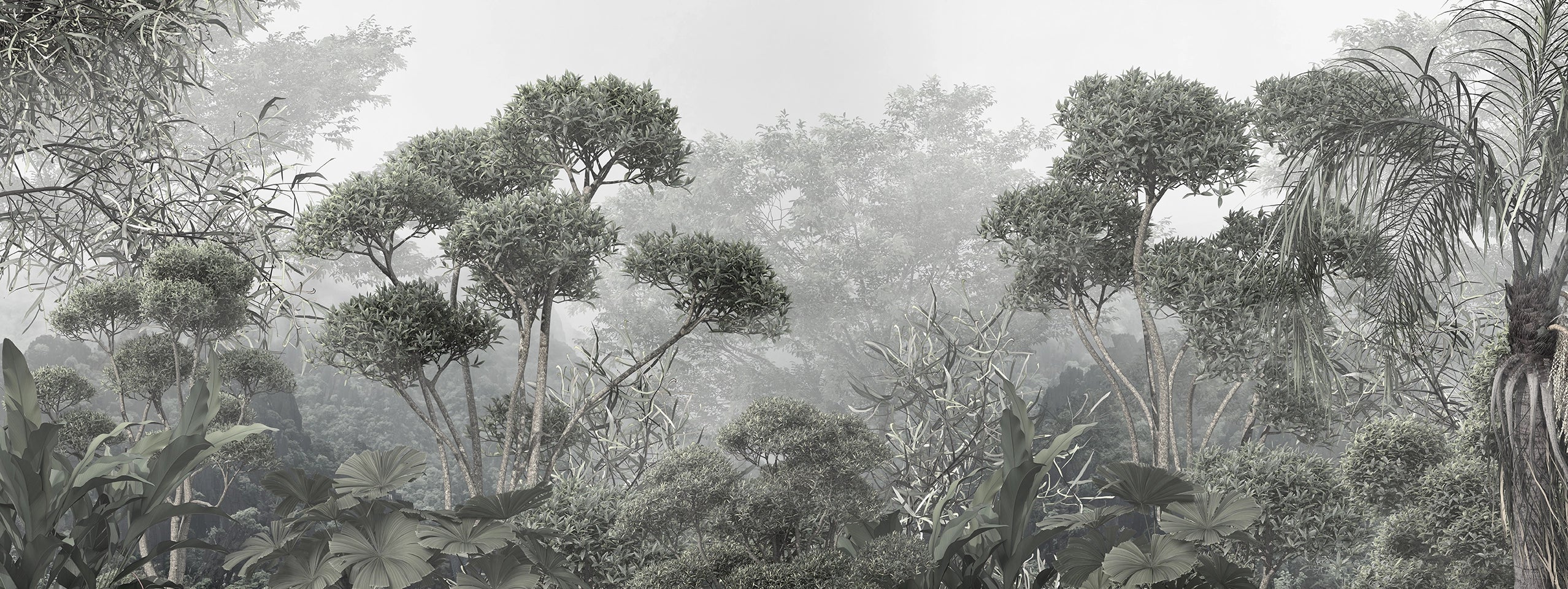 Papier peint panoramique sur mesure forêt dense