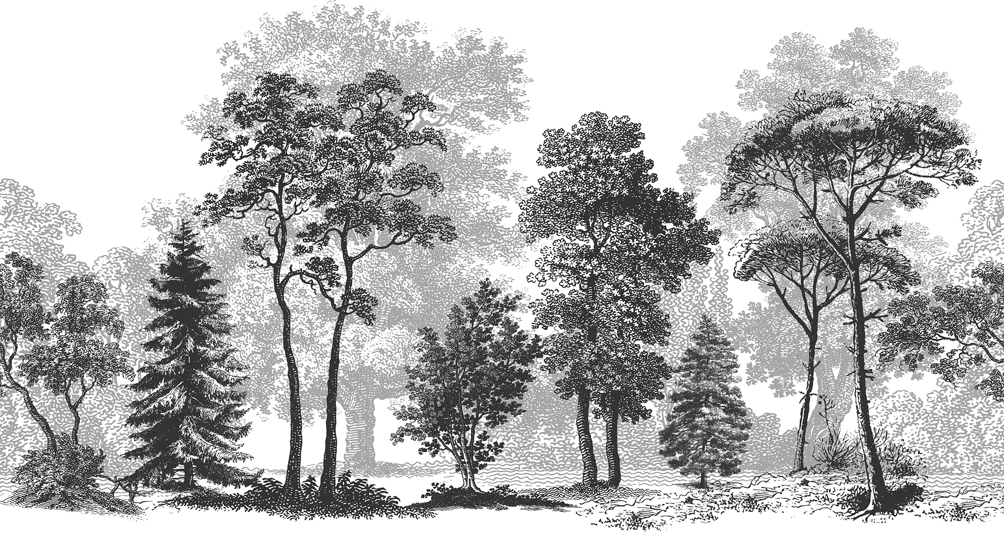 Papier peint paysage forêt noir et blanc