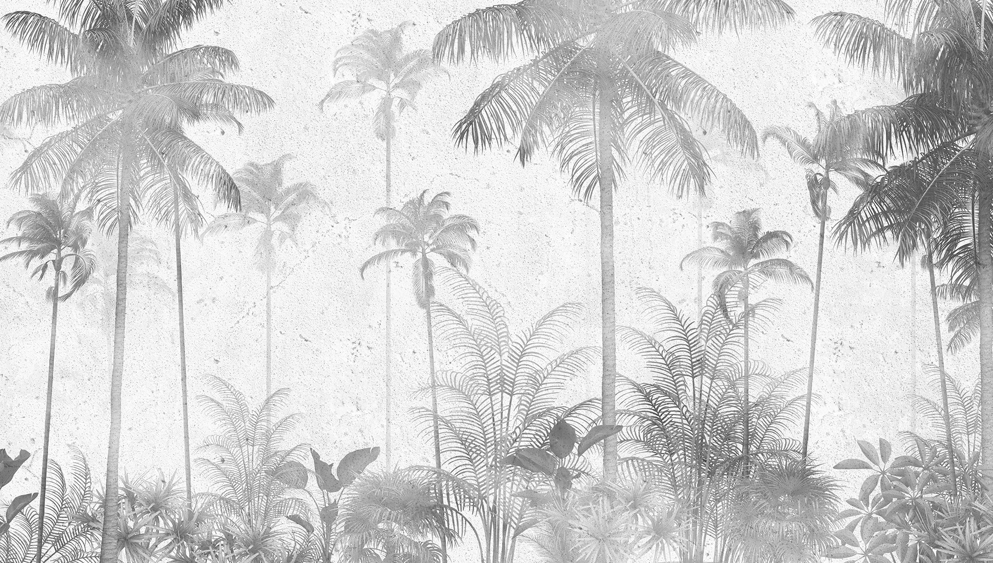 Black &amp; White Palm Forest Trendy Wallpaper