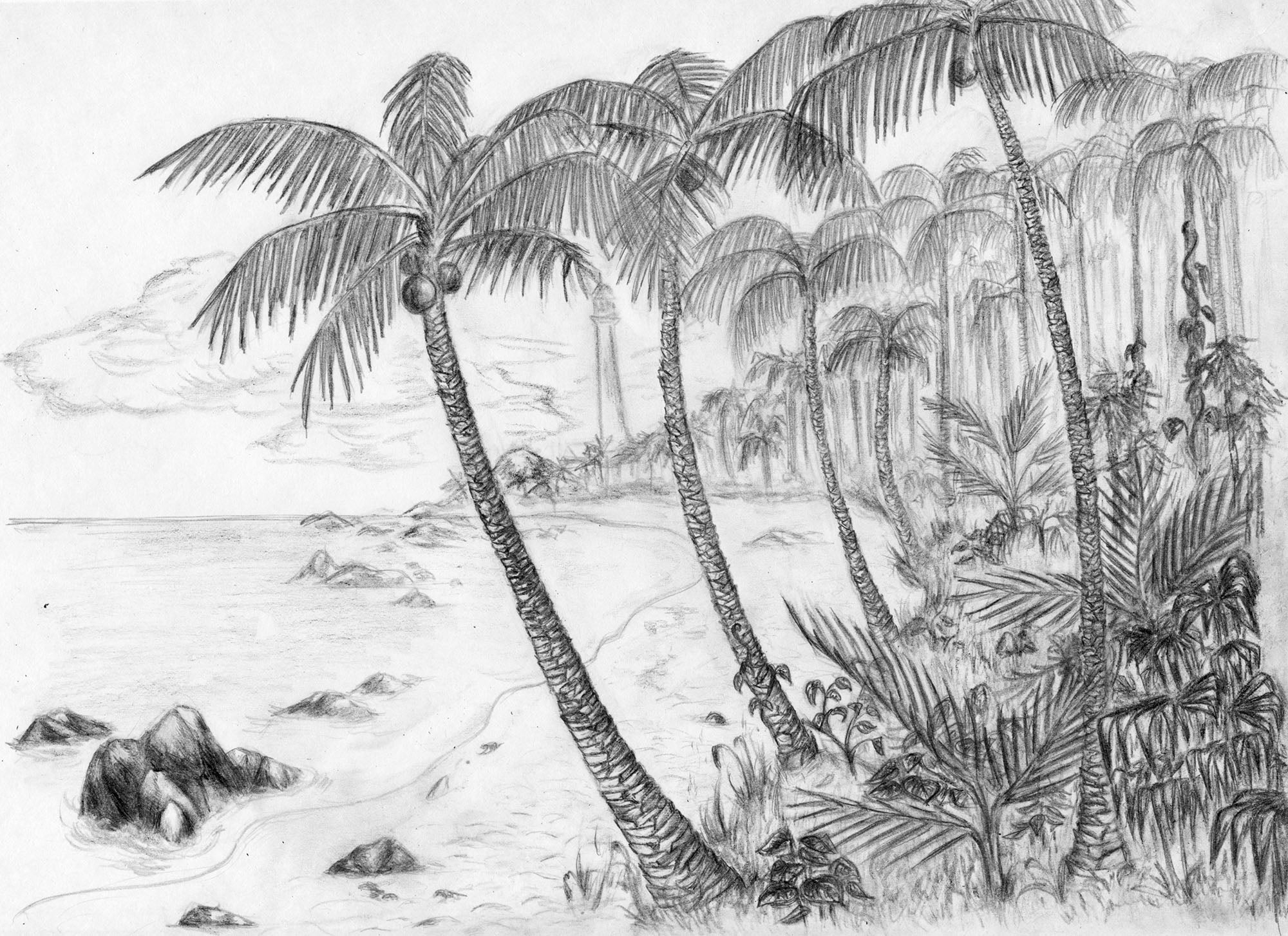 Beach under the Coconut Trees wallpaper