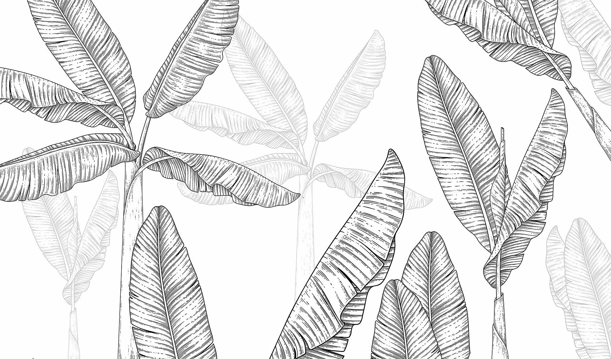 Black and White Graphic Plant Mural