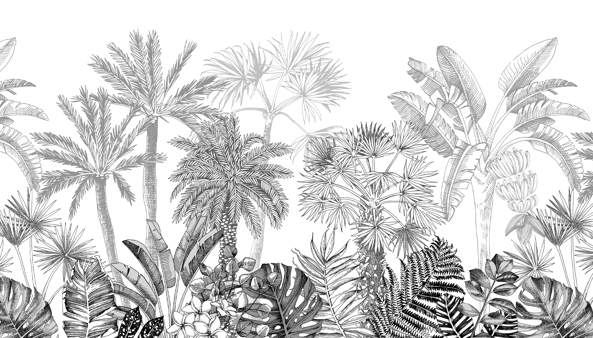 Papier Peint Forêt Tropicale en Noir et Blanc - Kam et Léon