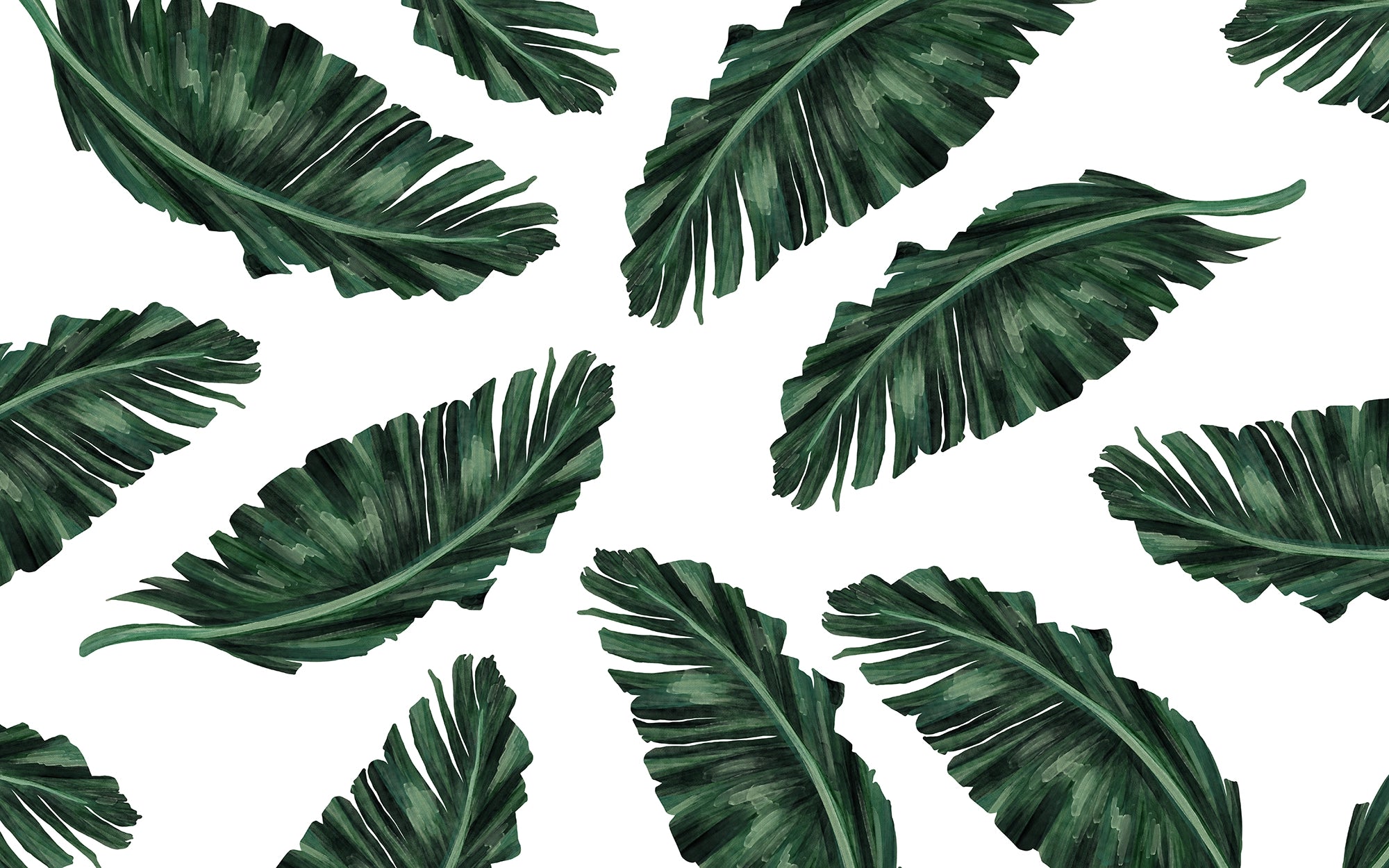 Papier peint grandes feuilles tropicales