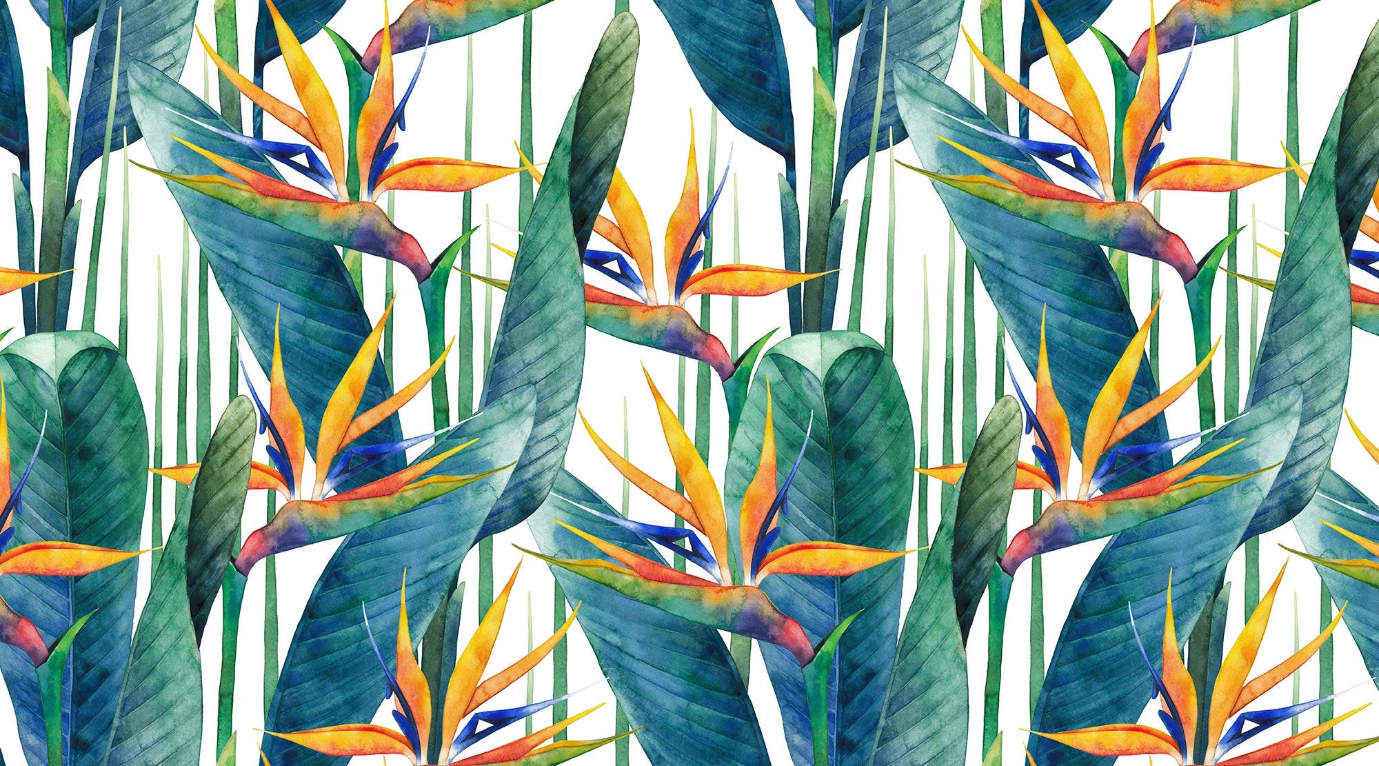 Strelitzia Trend Wallpaper