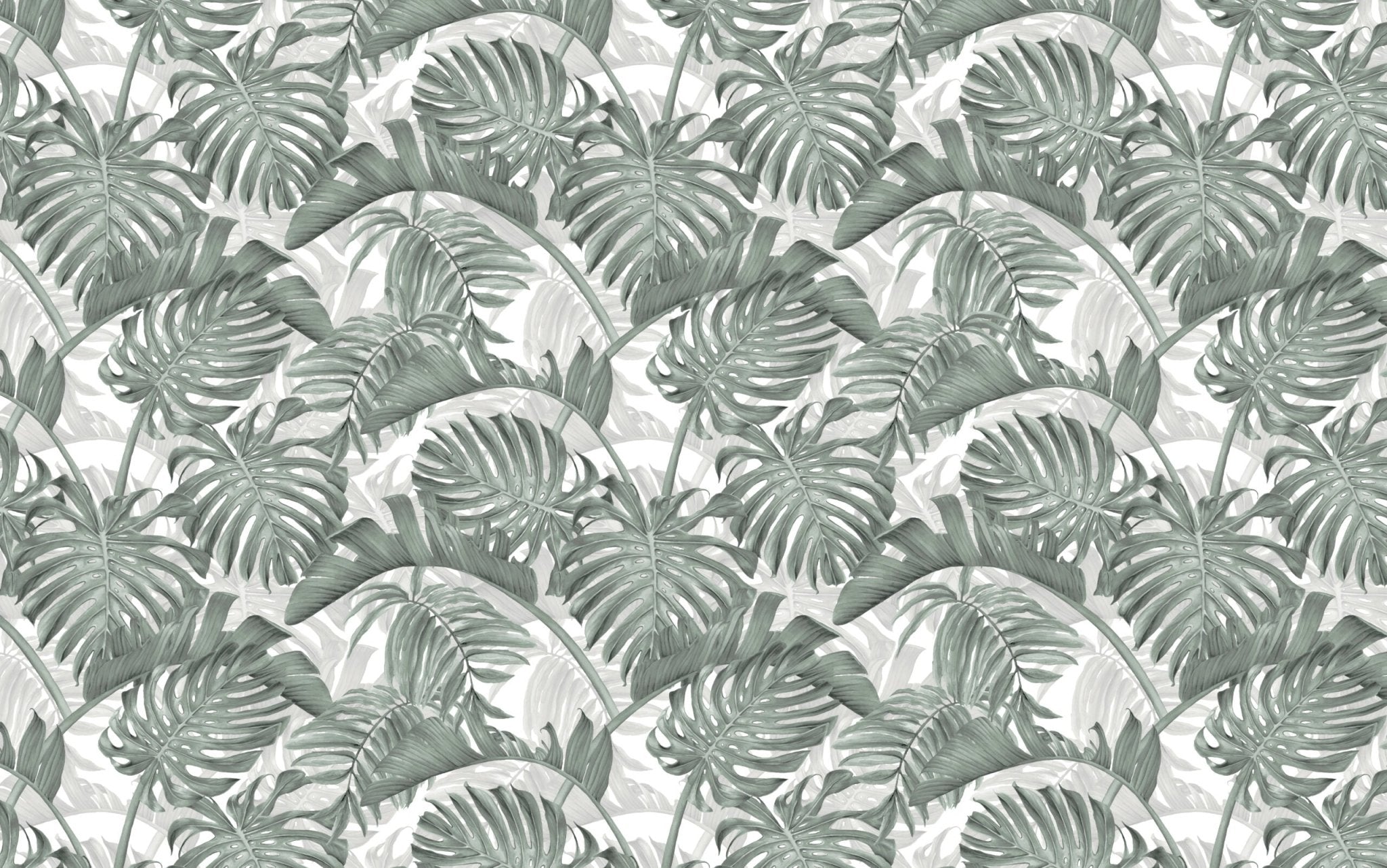 Papier peint tropicale feuille de monstera deliciosa - Kam & Leon